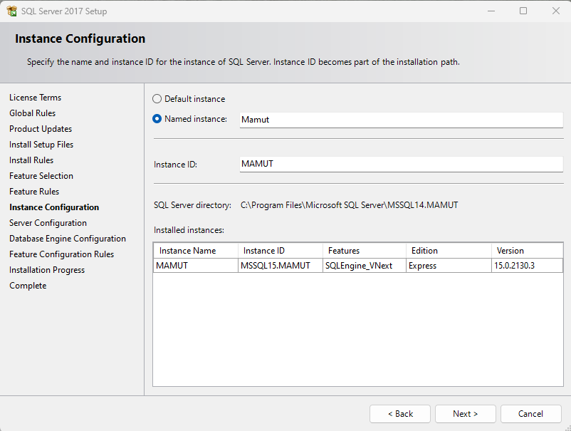 Installation av Microsoft SQL Server 2017 Express - Visma Community