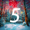 5 des.png