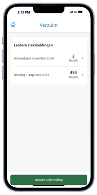 verzuim overzicht app.png
