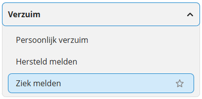 Mijn Youforce link.png