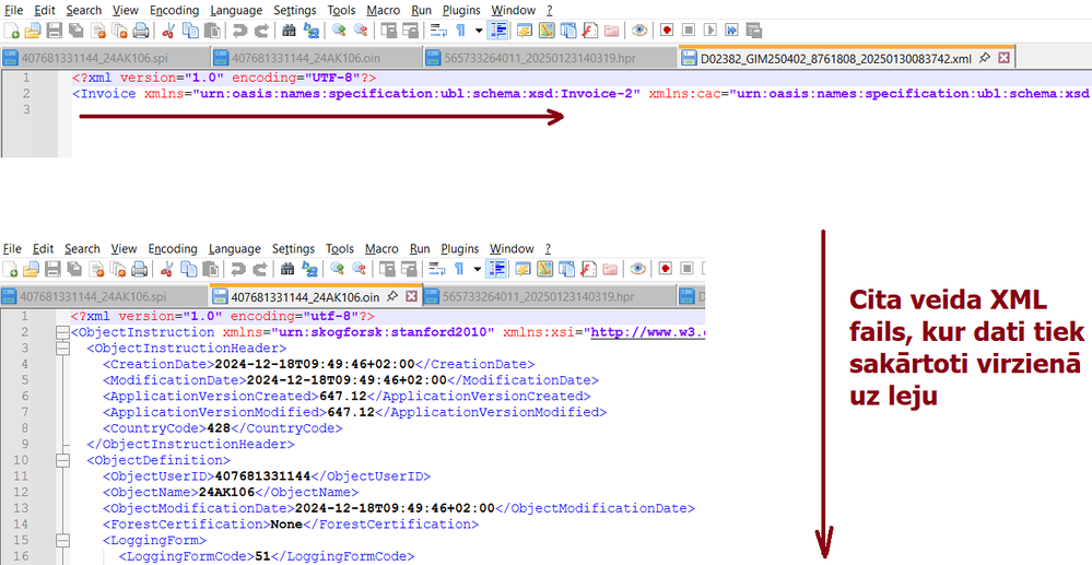 XML faila formāts.png