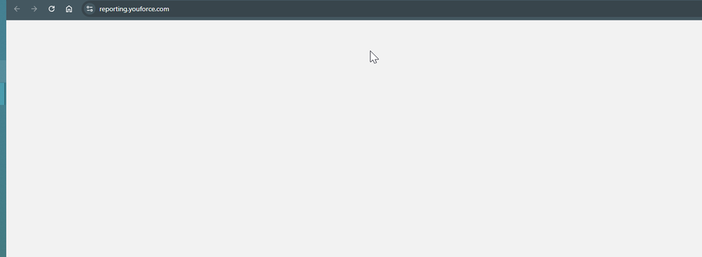 2025-04-07 12_17_30-Youforce Reporting.png
