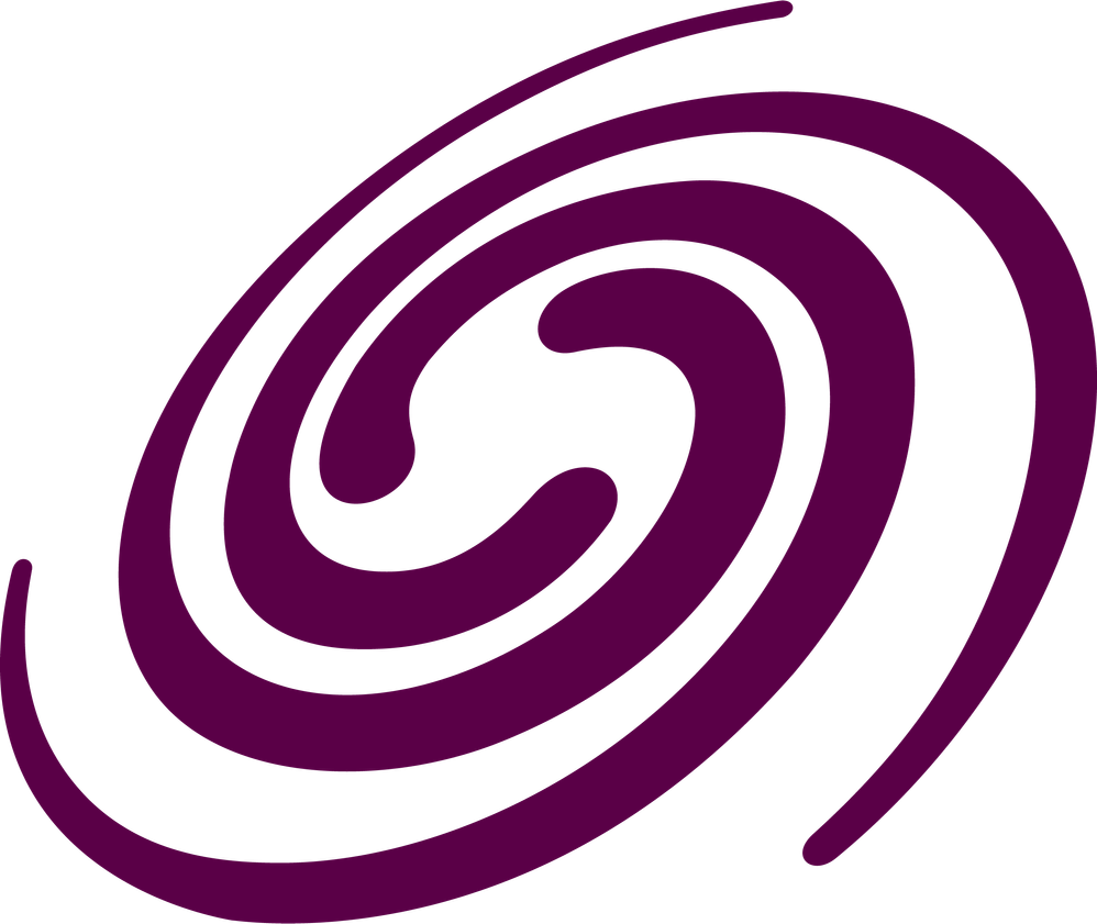 Learning Universe Logo_burgunder (2).png