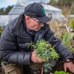 Profile (Steinar Willy Johansen)