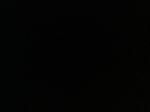 IMG_0144.jpeg