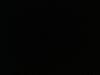 IMG_0144.jpeg