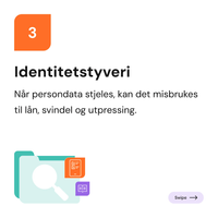 03. Identitetstyveri .png