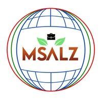 msalz logo.jpg
