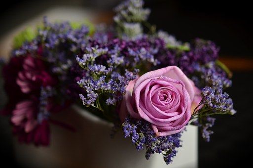 rose-blå bunn.jpg