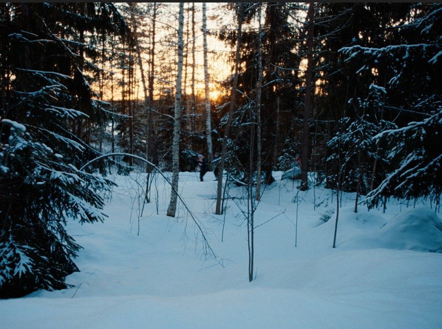 winter.jpg