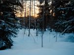 winter.jpg