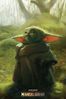 star-wars-the-mandalorian-grogu-i103610.jpg