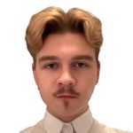 Profile (Danielis Budraitis)