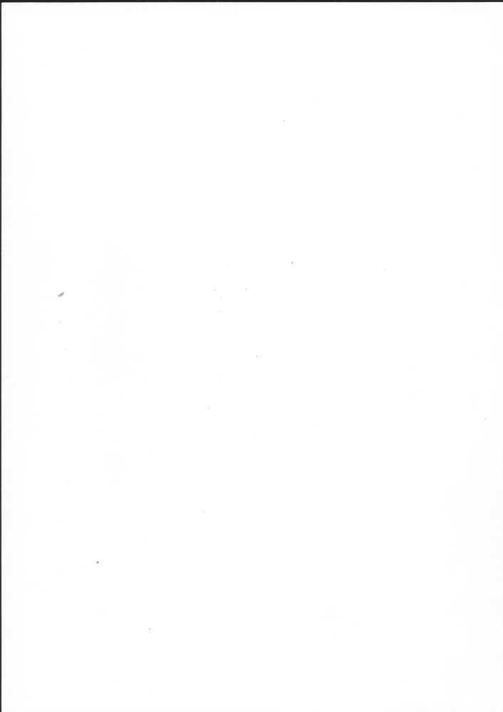Innskanning 1.jpeg