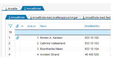 Skjermbilde.PNG2.PNG