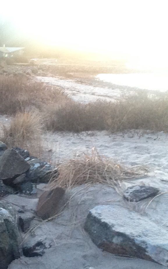 Strand i Varberg.jpg