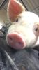 IMG-20160616-WA0000.jpg