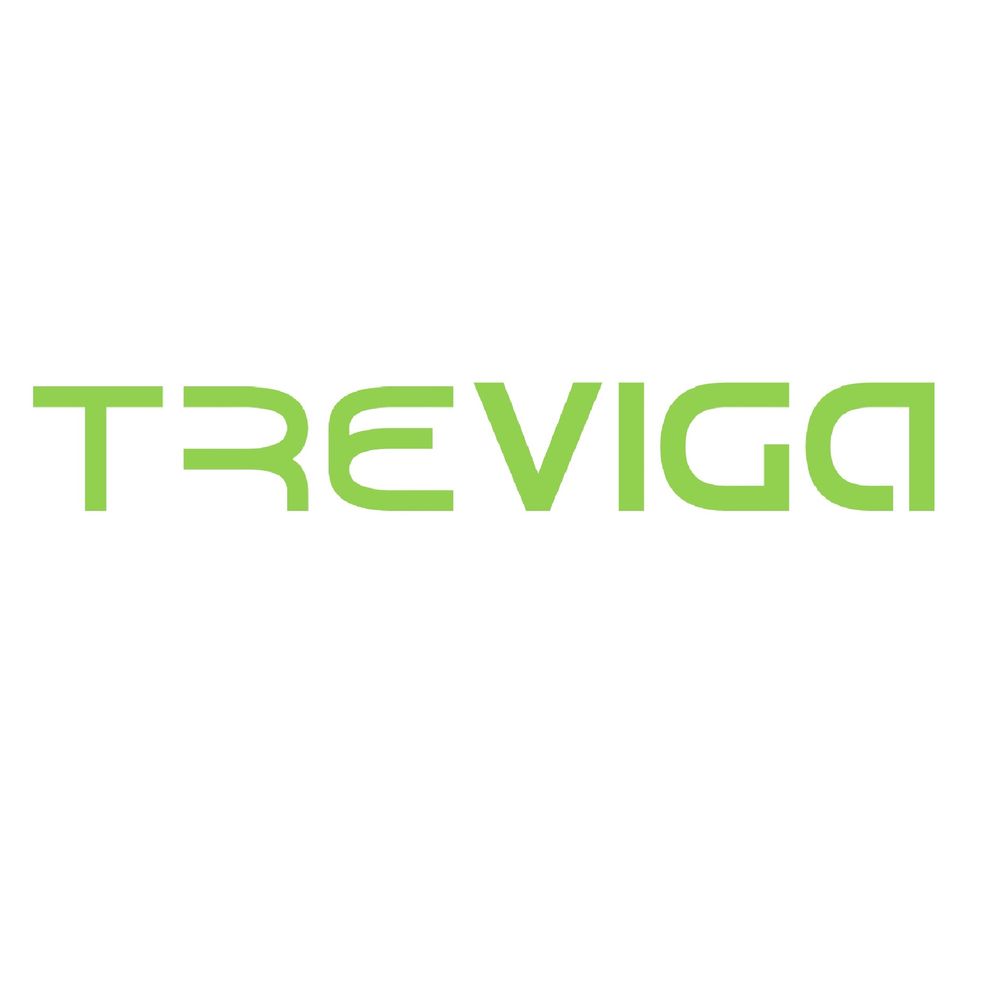 Treviga Large Square.jpg
