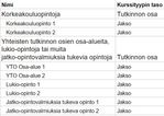 korkeakouluopinnot-rakenne.jpg
