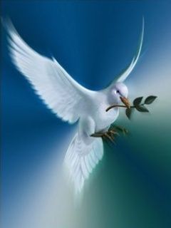 dove-of-peace.jpg