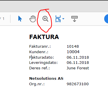 ZoomPDF.PNG