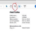 ZoomPDF.PNG