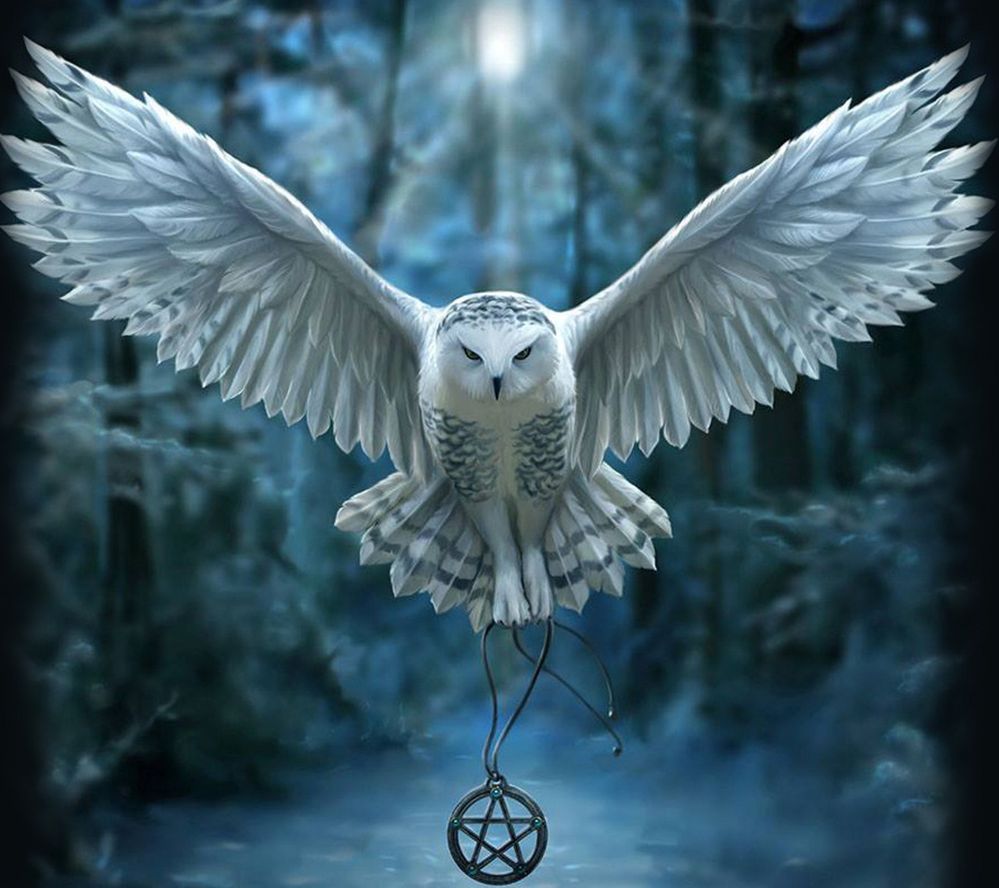 Owl_of_the_night-wallpaper-10863491.jpg