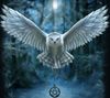Owl_of_the_night-wallpaper-10863491.jpg