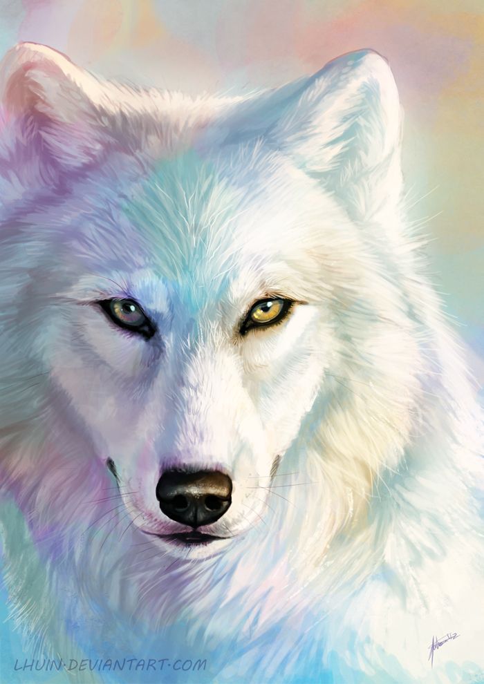 lobo.jpg