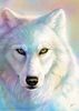 lobo.jpg