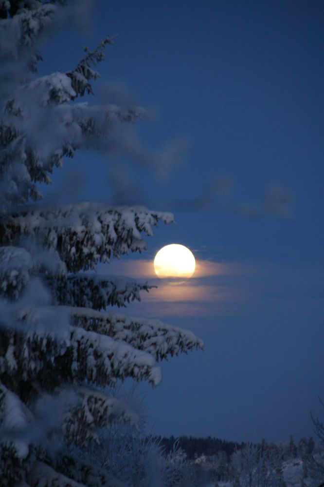 IMG_7806.JPG