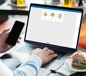 Visma.net-vejledning