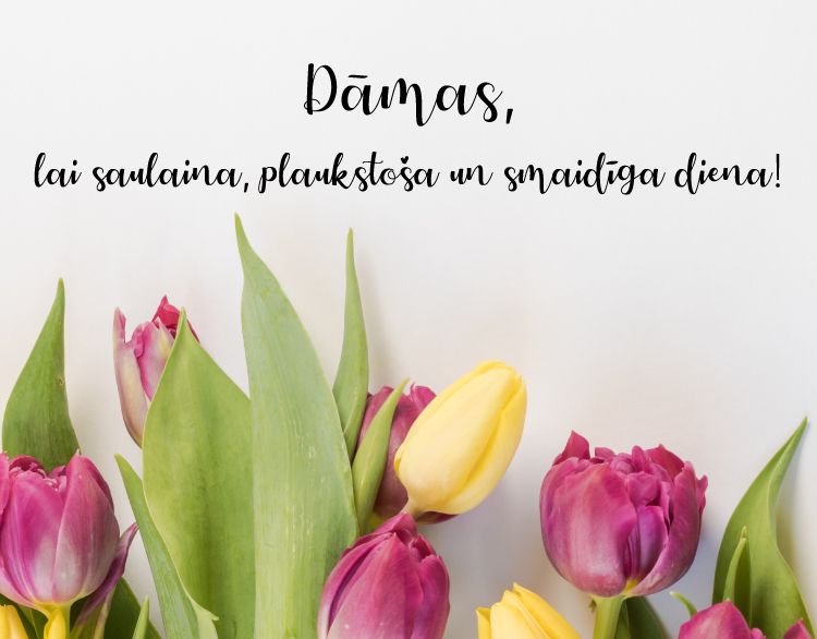 apsveikums2.jpg