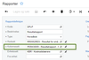 2019-06-12 14_35_16-Rapporter.png