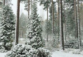 Näyttökuva 2017-10-31 kello 9.56.33.jpg
