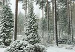 Näyttökuva 2017-10-31 kello 9.56.33.jpg