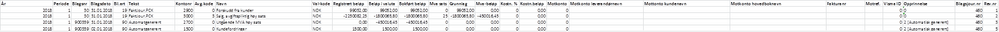 hovedboksutskrift med rådata.png