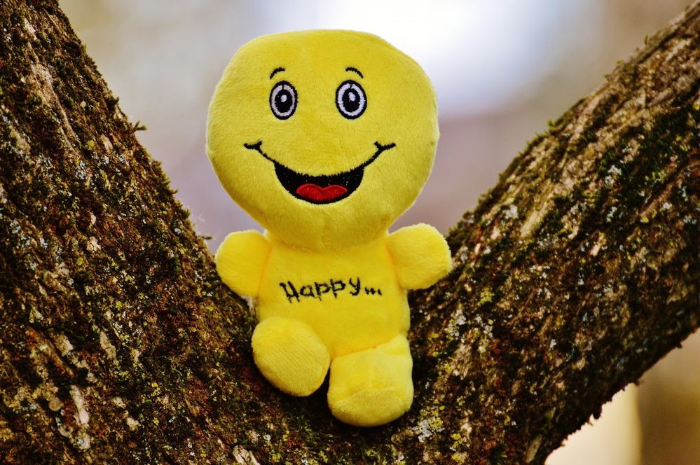 Happy.jpg