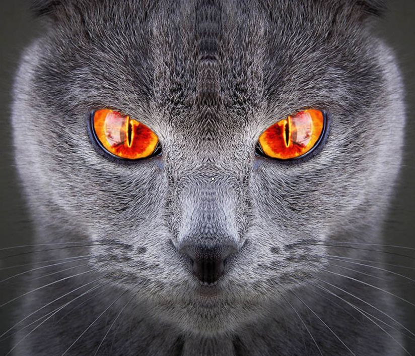Sauroncat_edit.jpg