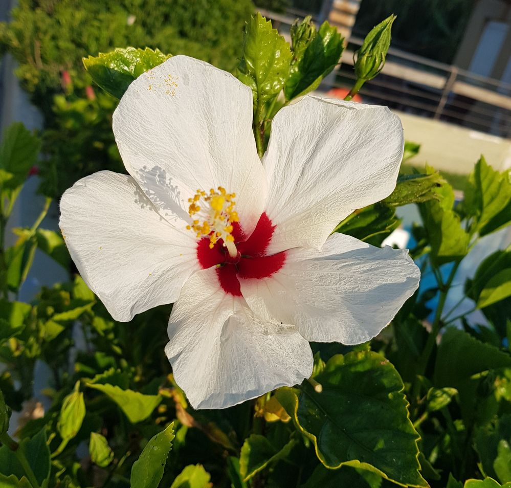 20190823_185355_2.jpg