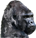 animal-3329963.png