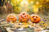 three-cute-halloween-pumpkins-autumn-park_1303-17638.jpg