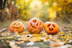 three-cute-halloween-pumpkins-autumn-park_1303-17638.jpg