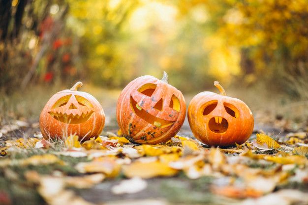 three-cute-halloween-pumpkins-autumn-park_1303-17638.jpg