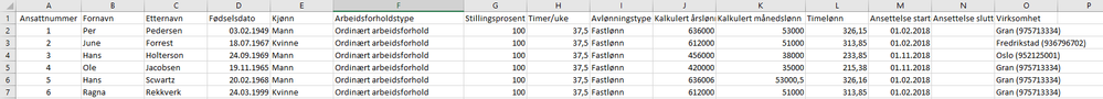ansattliste screenshot excel.PNG