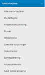 Mie Eggers_11-1579184831968.png