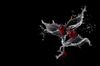 cherries-2905964_960_720.jpg