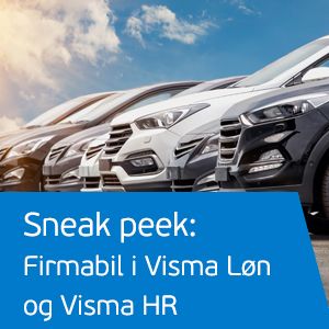 firmabil i visma.jpg