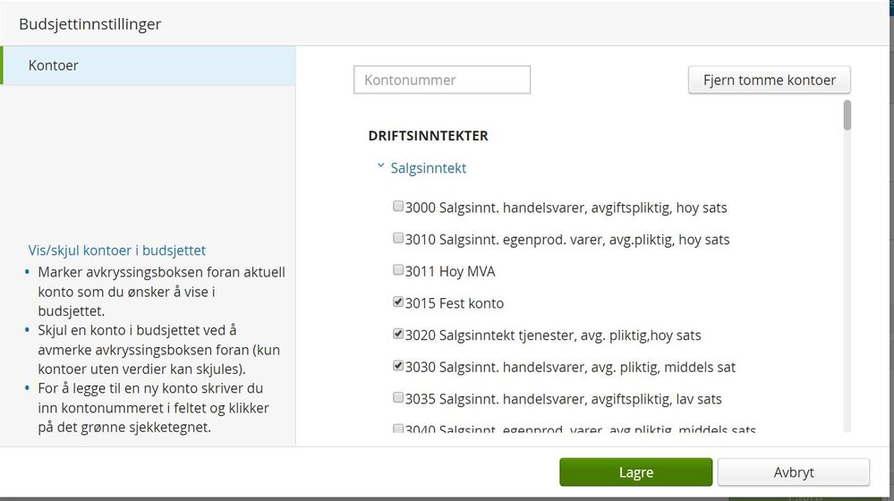budsjett konto2.JPG
