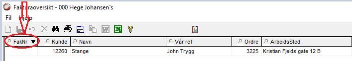 Spørring faktura3.JPG